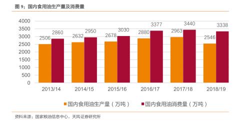 增首人一肖王中王期期准——探寻精准预测的魅力与智慧，增首人一肖王中王期期准，探寻精准预测的智慧与魅力