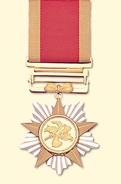 五大勋章，荣耀的象征与时代的记忆，五大勋章，荣耀象征与时代印记