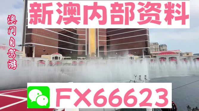 新澳内部资料精准一码，揭秘与探索，揭秘新澳内部精准一码，深度探索与资料解密