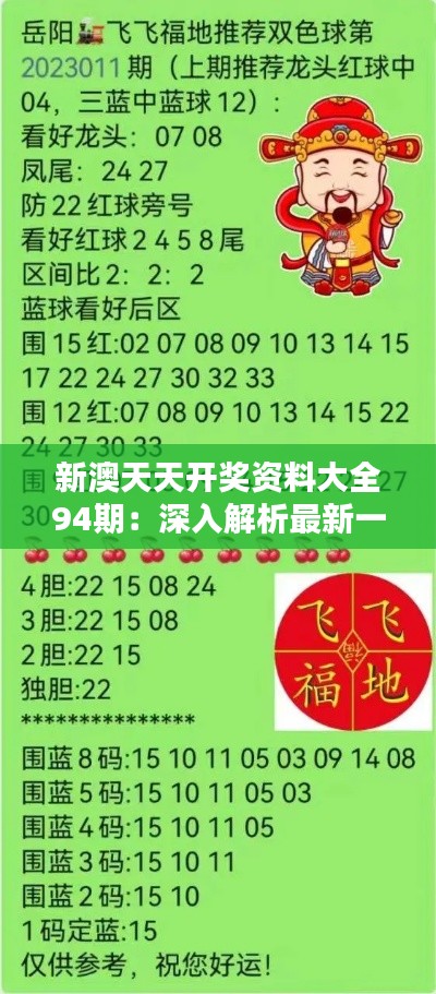 新澳开奖结果资料查询第29期详解，新澳开奖结果第29期详解及资料查询