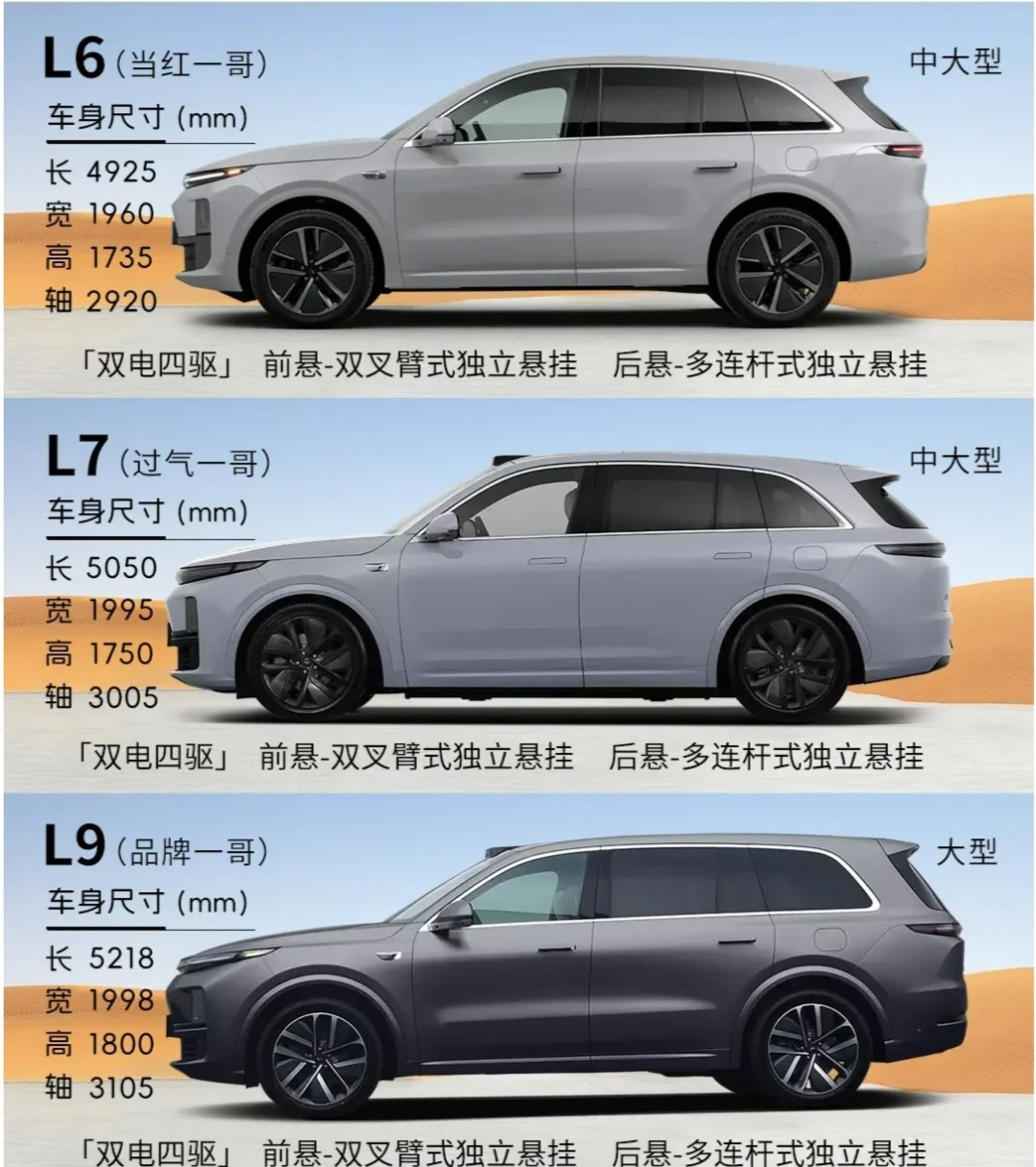 红旗9与红旗16，两款红旗防空系统的深度对比，红旗9与红旗16防空系统，深度对比与剖析