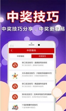 港澳台49图库免费资料正版，探索与赏析，港澳台正版图库资料探索与赏析，免费赏析49图库