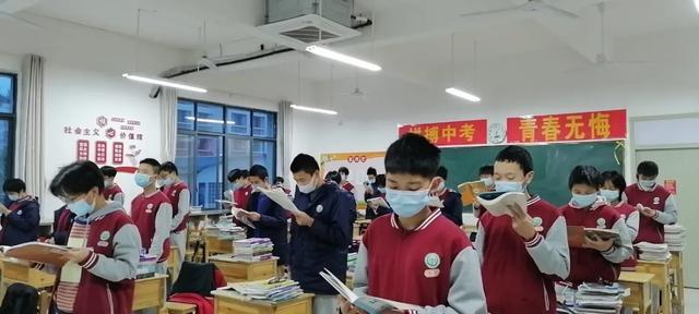二四六天天免费资料结果，探索与启示，二四六天天免费资料的探索与启示