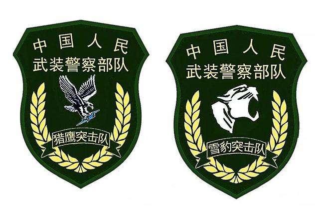 武警特种警察学院的位置及其重要性，武警特种警察学院位置与重要性概述