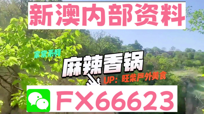 新澳2025年精准资料期期，未来趋势与数据洞察，新澳2025年精准资料期期揭秘，未来趋势与深度数据洞察