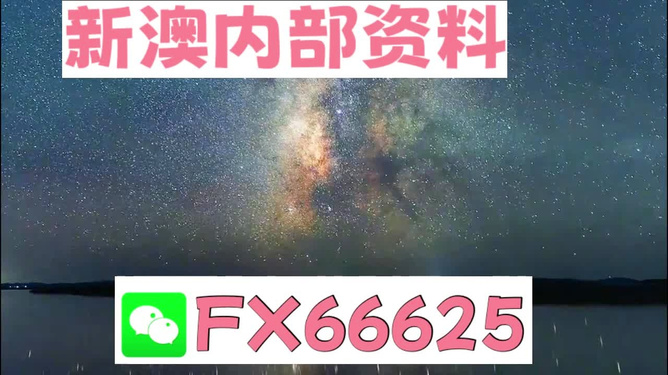 新澳天天彩免费资料大全查询，探索彩票世界的奥秘与机遇，新澳天天彩免费资料大全查询，揭秘彩票世界的奥秘与财富机遇