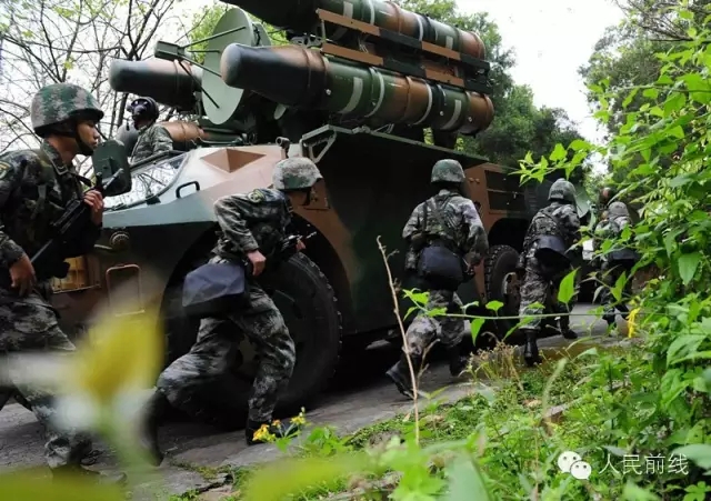 陆军兵种，多样性与协同作战的力量，陆军兵种，多样性与协同作战的强大力量