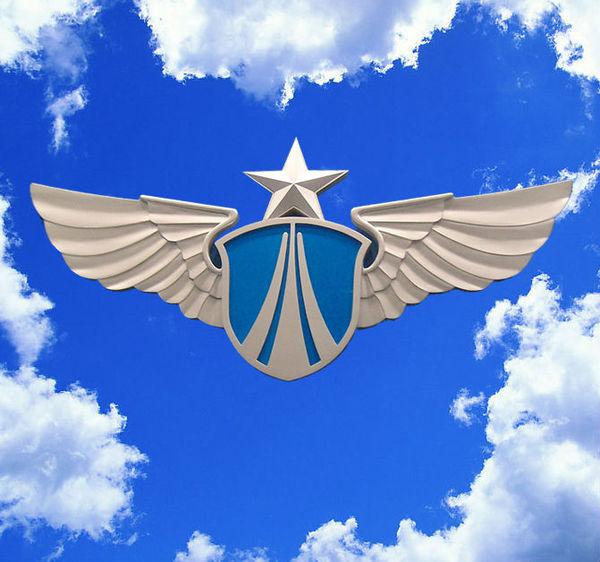 中国空军徽标,象征力量与荣耀的标志,中国空军徽标,力量与荣耀的象征