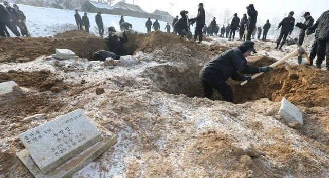 志愿军遗骸分批安置的原因分析,志愿军遗骸分批安置的原因深度解析