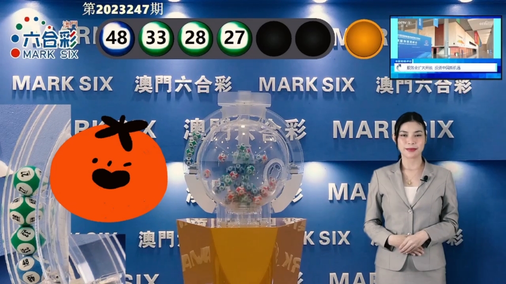 探索未来之门,澳门王中王资料与2025年的新展望,探索未来之门,澳门王中王资料与2025年新展望