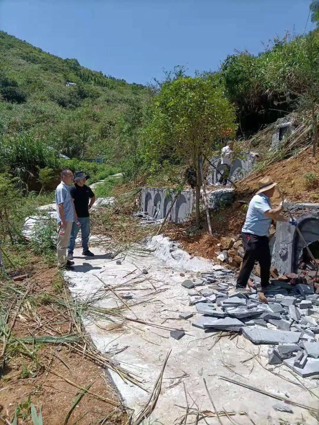 王中王一字拆一肖横财，探寻幸运与智慧的交融，王中王一字拆解揭秘幸运与智慧交融的生肖奥秘