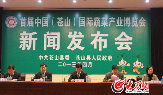 今日新闻发布会现场直播，聚焦时事热点，解读最新动态，今日新闻发布会现场直播，时事热点解读与最新动态关注