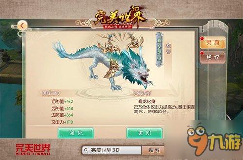 天涯论坛中的灵宠灵草，神秘世界的探索与分享，天涯论坛神秘灵宠灵草，探索与分享的世界