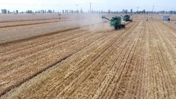 珠日河训练基地简介,珠日河训练基地概览