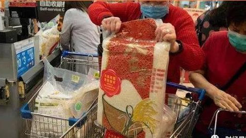 全国开始抢购粮食，背后的原因与应对策略，全国粮食抢购潮，原因探究与应对策略