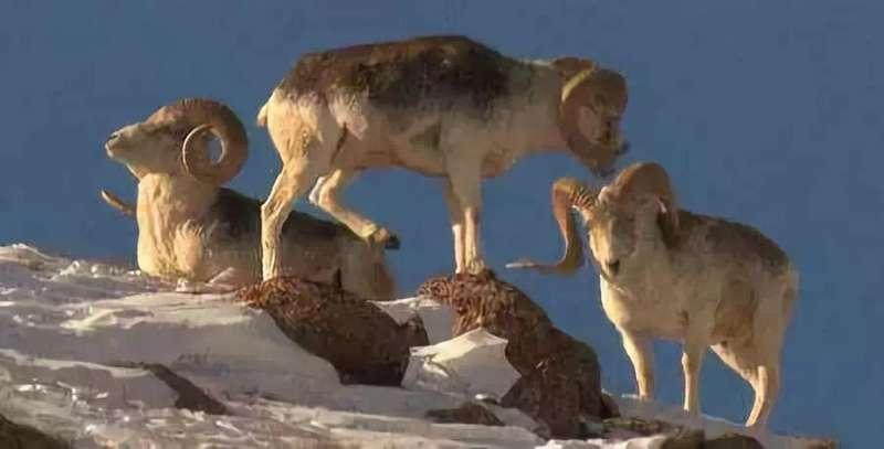 历史与现实交汇点