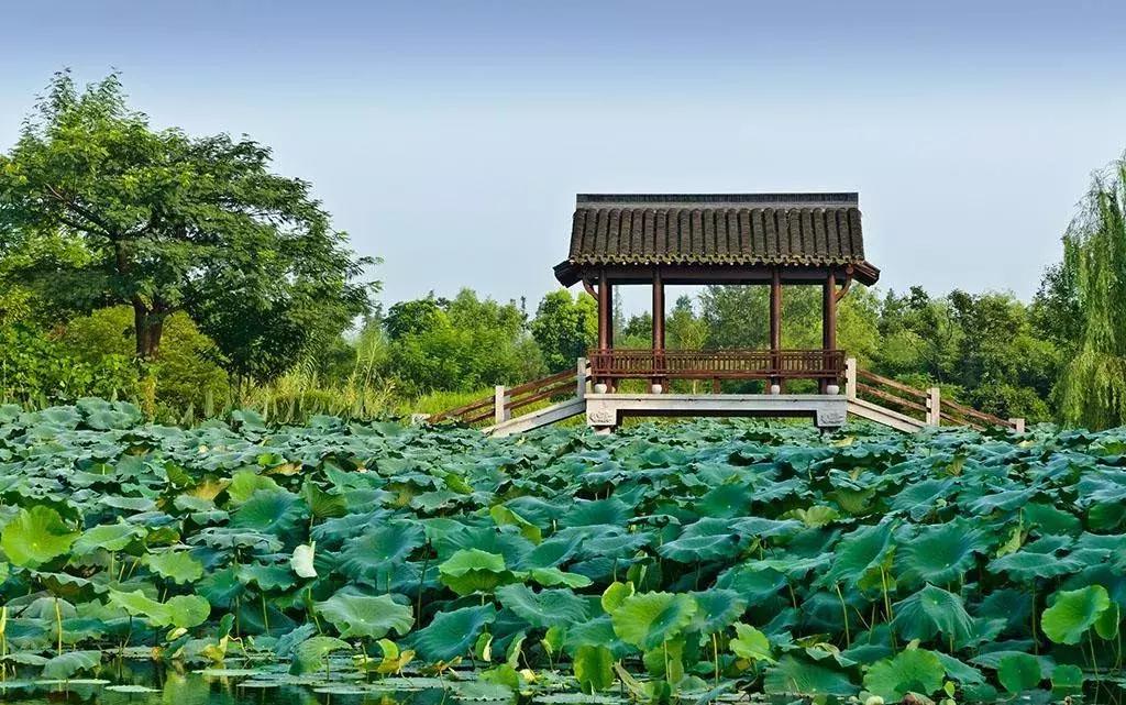 哈尔滨舰与石家庄舰,中国海军力量的双璧,中国海军力量的双璧,哈尔滨舰与石家庄舰的辉煌展现