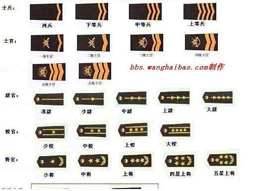 军衔等级划分,探究与解析,军衔等级划分详解,探究与解析