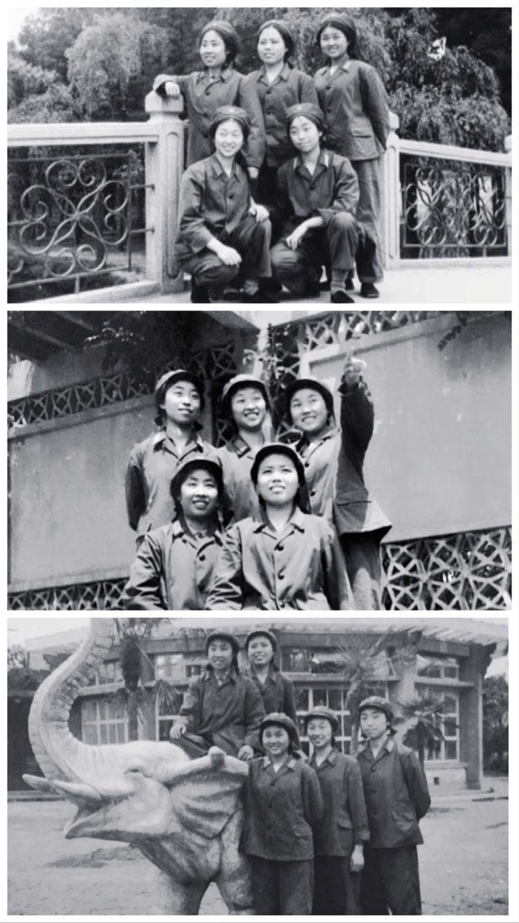 女兵帽子的种类及其特点，女兵帽子的种类与特点概述