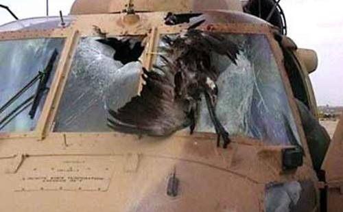 预警机坠毁对我国的影响,挑战与机遇并存,预警机坠毁,影响与挑战中的机遇并存