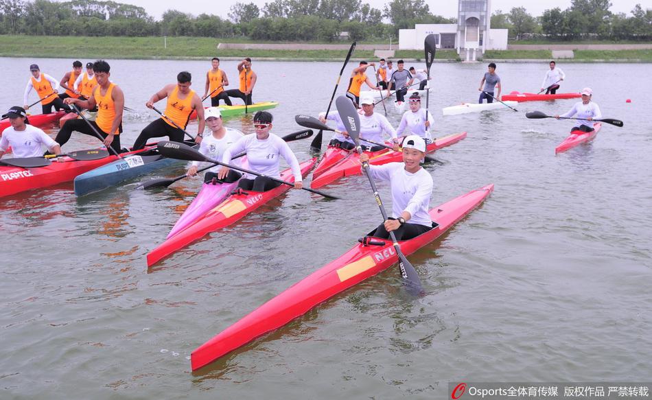 揭秘王中王三肖一码,免费公开的奥秘,揭秘王中王三肖一码,免费公开的奥秘探秘