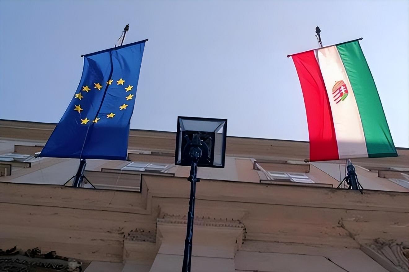 俄乌局势战报,深度解析12月2日的最新动态,俄乌局势最新动态深度解析,12月2日战报综述