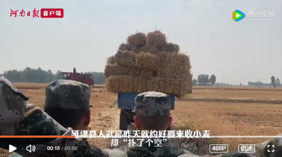 肖思远偷偷收麦子的故事，肖思远秘密收割麦子的故事