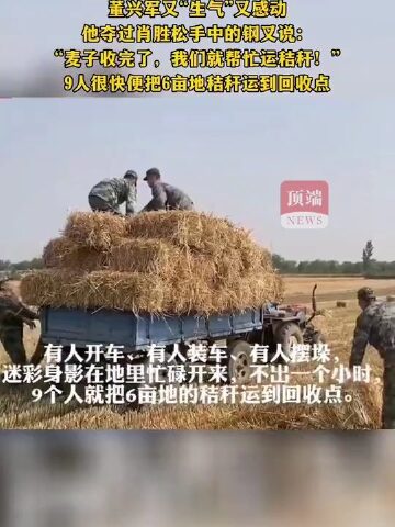 肖思远偷偷收麦子的故事,肖思远秘密收割麦子的故事