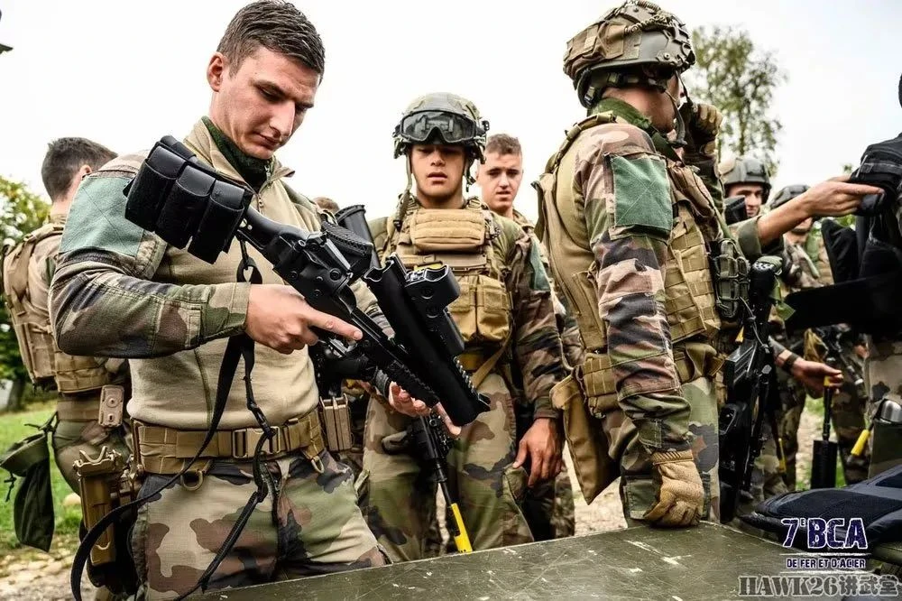 陆军第十四军简介,陆军第十四军简介概述