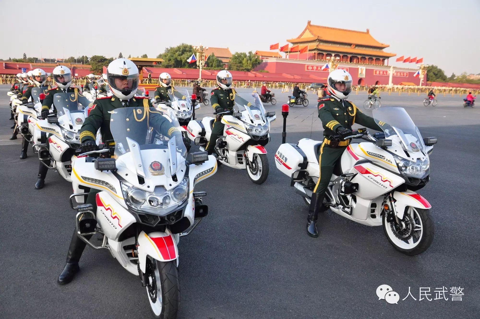 国宾护卫队与铁骑,荣耀与力量的象征,国宾护卫队与铁骑,荣耀与力量的独特象征