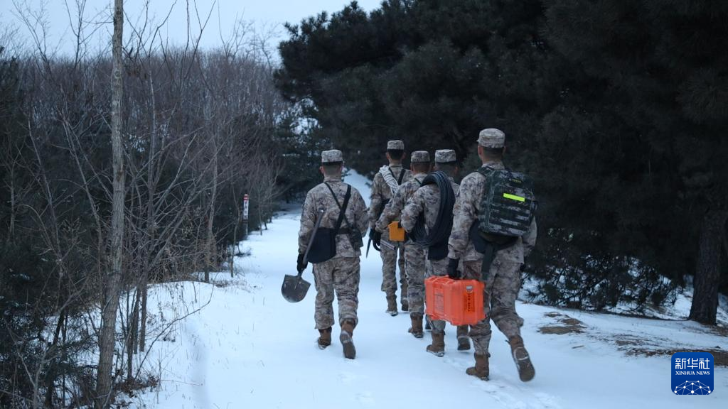 优势与特点解析