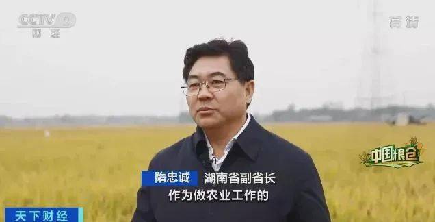 揭秘十四集团军参谋长杨毅,铁血军人的荣耀与担当,十四集团军参谋长杨毅,铁血军人的荣耀与担当揭秘