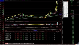 一肖平码王中王,传奇与荣耀的诠释,传奇与荣耀,一肖平码王中王诠释者