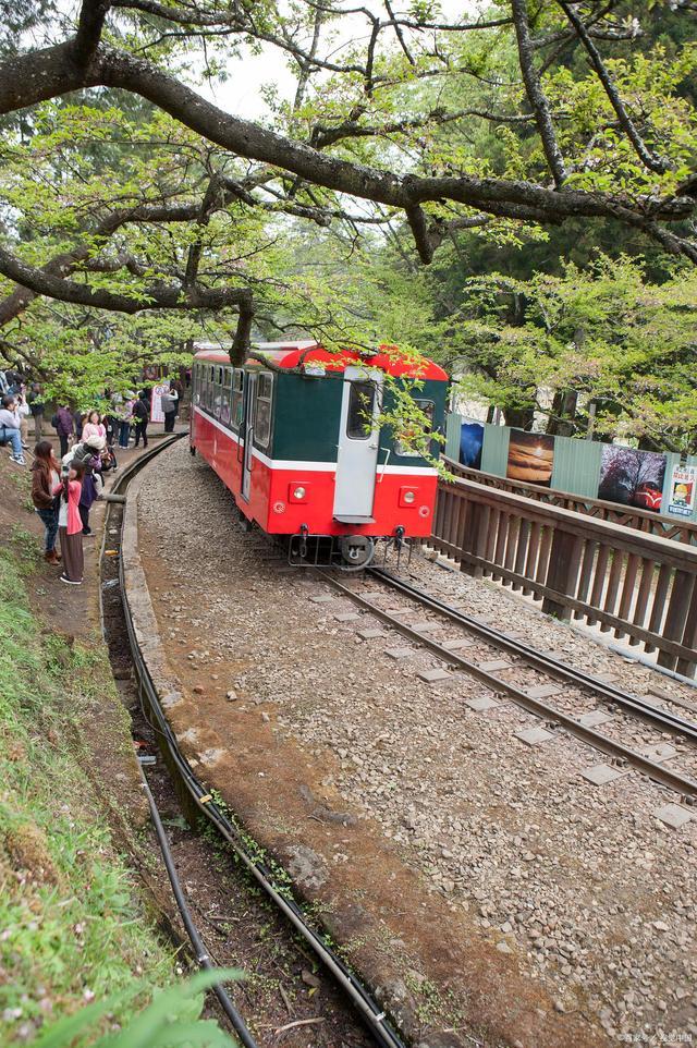 现在能到台湾旅游吗？——探索宝岛台湾的无限魅力，探索宝岛台湾，现在能否开启旅行之旅？