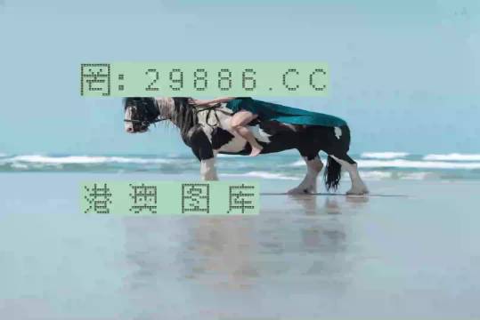 新澳一肖一码，探索与解析，新澳一肖一码，深度探索与解析