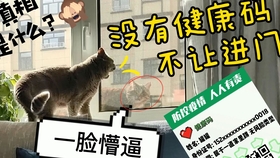 王中王精准一码一肖狗,探寻神秘预测背后的故事,揭秘王中王精准预测背后的故事,一码一肖狗神秘预测之旅