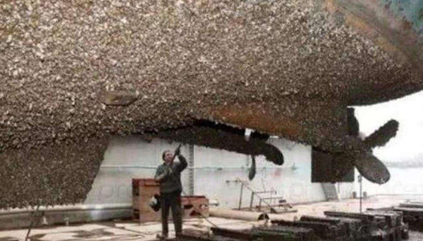 航空母舰,海上的霸主与战略支柱,航空母舰,海上霸主与战略核心