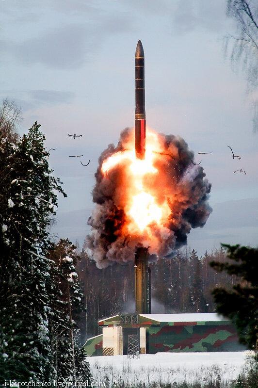 白杨M导弹发射车七轮,力量与技术的完美结合,白杨M导弹发射车,七轮之力与技术的巅峰结合