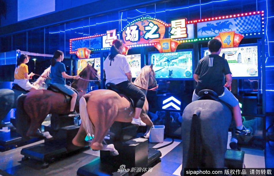 王中王内部必中一肖,揭秘背后的秘密与真相探寻,揭秘王中王内部必中一肖背后的真相与秘密探寻