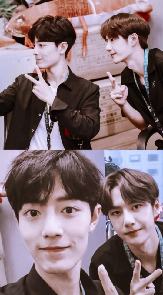 茂密森林中的王者——王一肖,森林霸主,王一肖