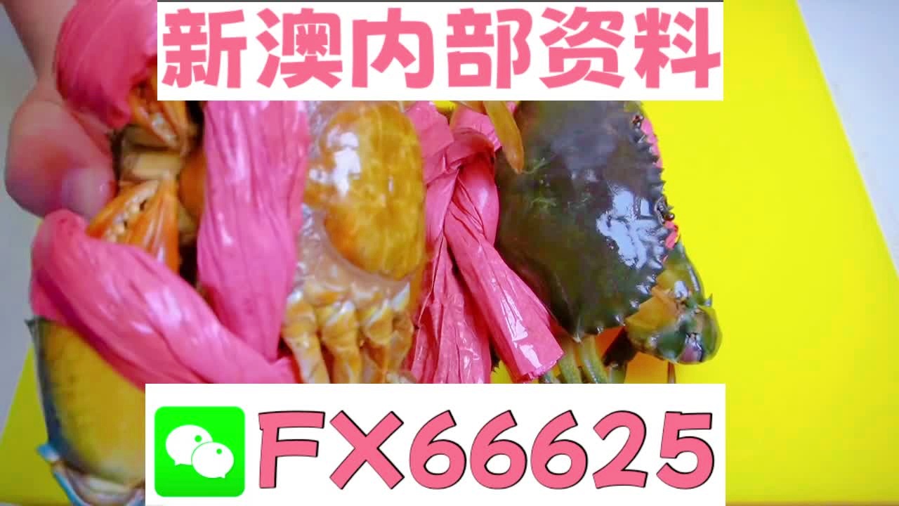新奥天天精准资料大全,深度解析与实际应用,新奥天天精准资料大全,深度解析及实际应用指南