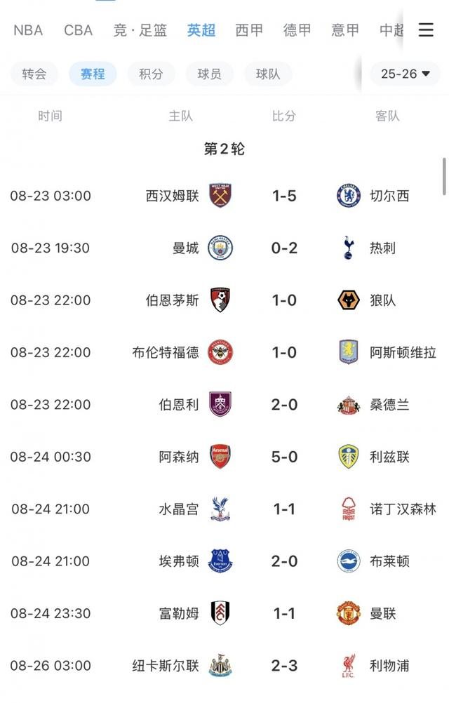 新澳2025正版资料大全,探索与解析,新澳2025正版资料大全,深度探索与详细解析