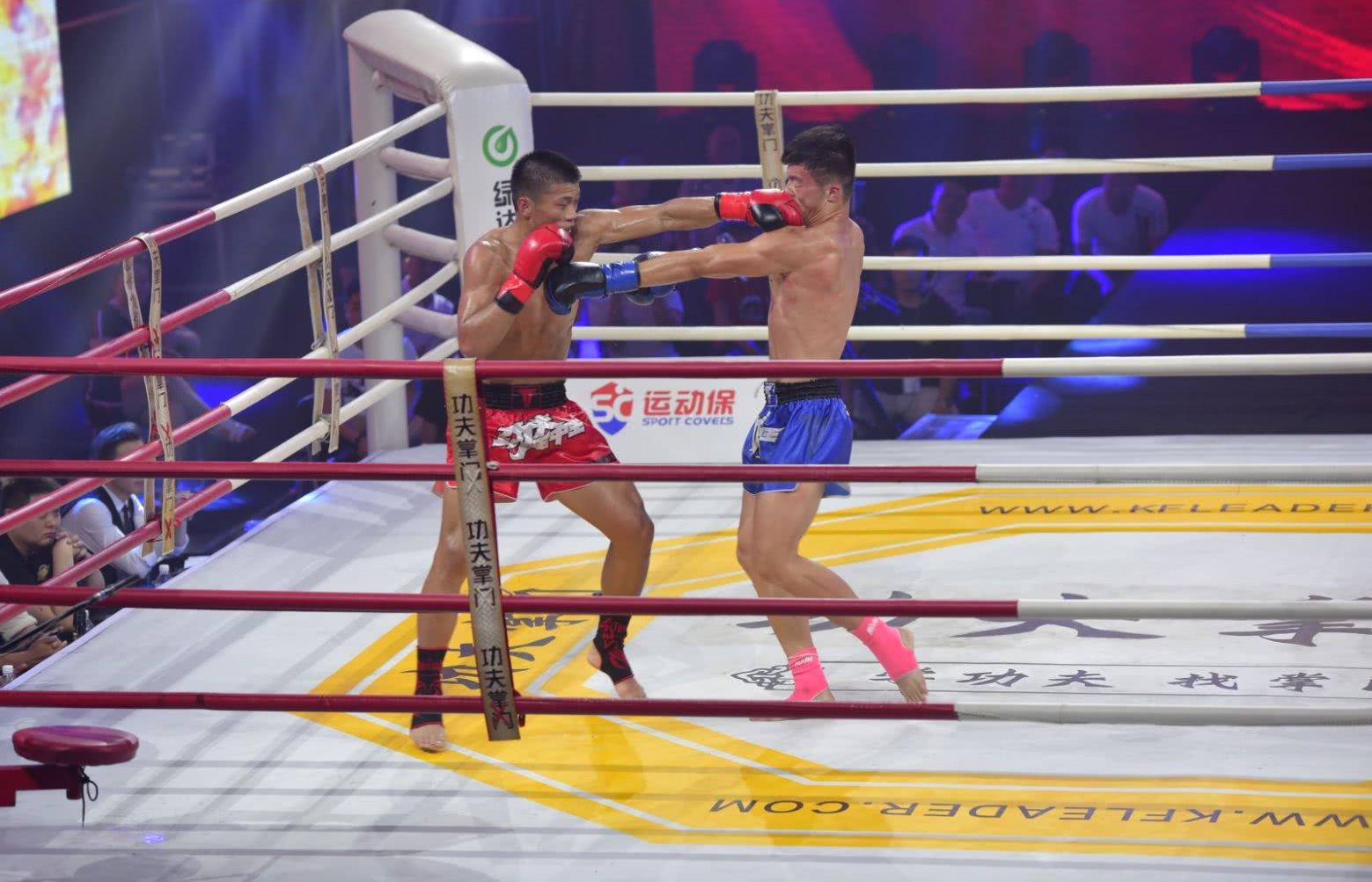 探索67期王中王一肖中特资料,深度解析与前瞻,探索67期王中王一肖中特资料深度解析与前瞻展望