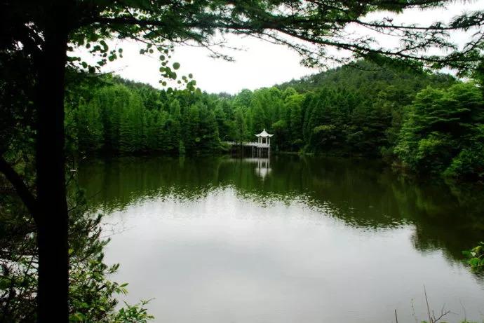 文化与技术交汇