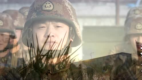 西陆解谜,揭开神秘面纱下的真相,西陆解谜,揭开神秘真相的面纱