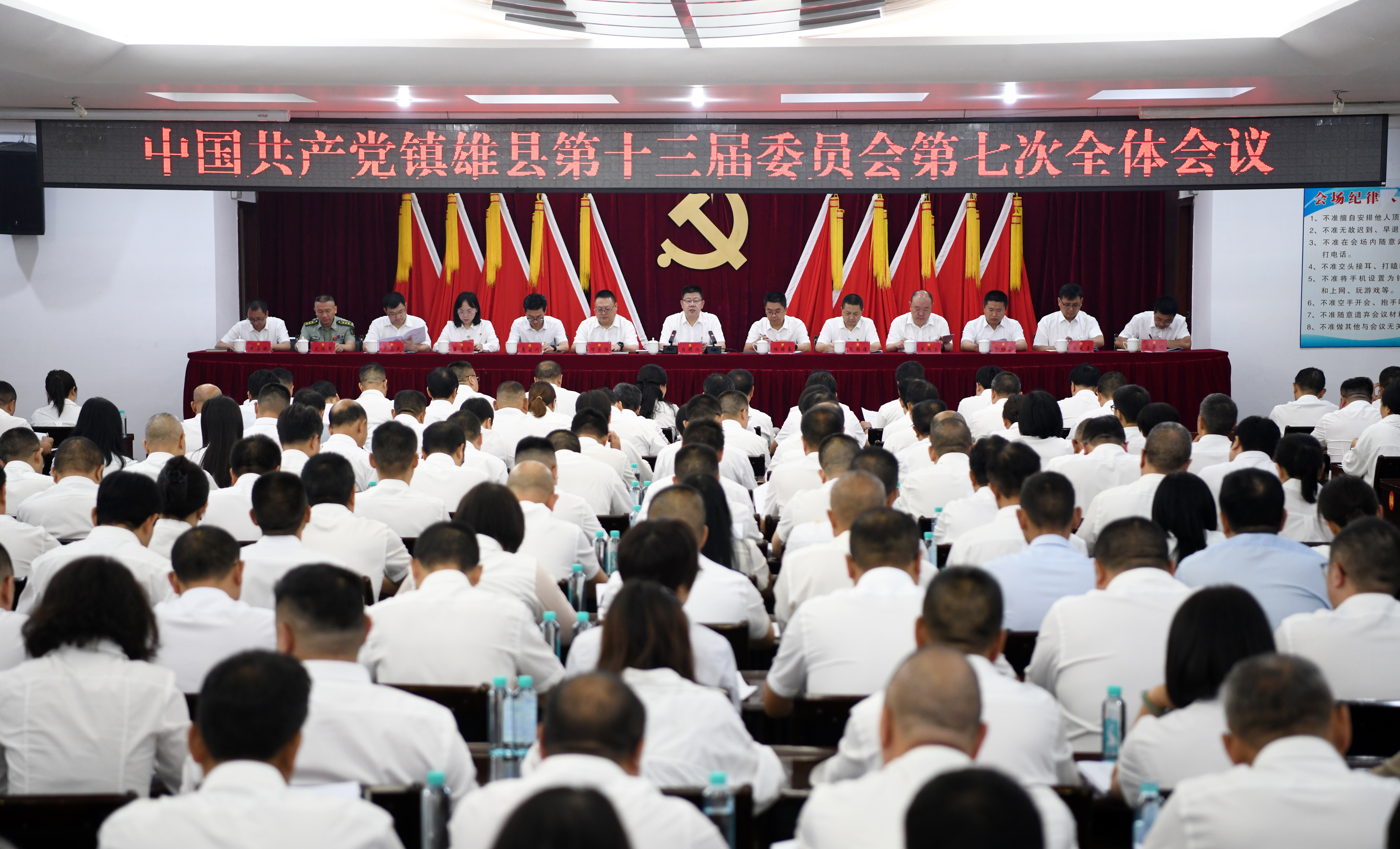 镇雄新闻最新消息今天,镇雄新闻今日最新消息速递