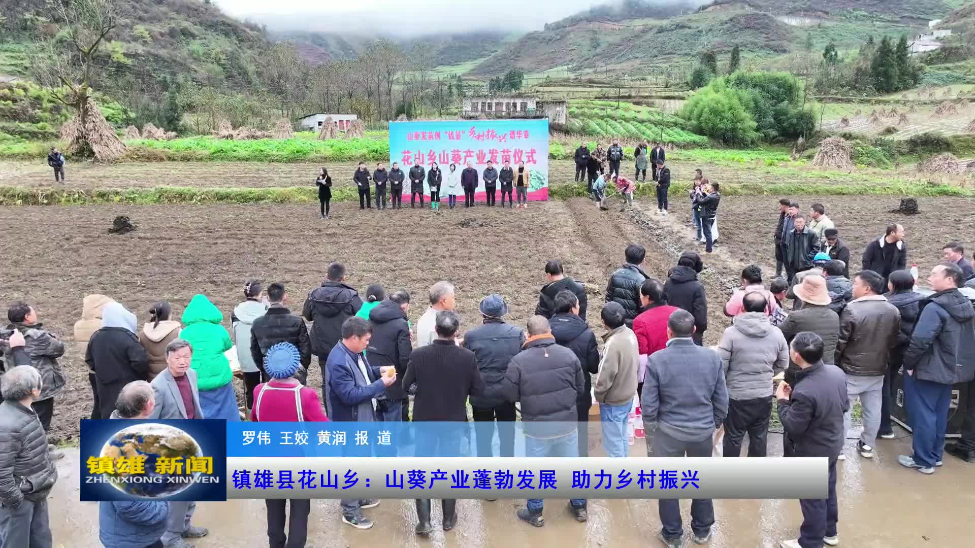 镇雄新闻最新消息今天,镇雄新闻今日最新消息速递