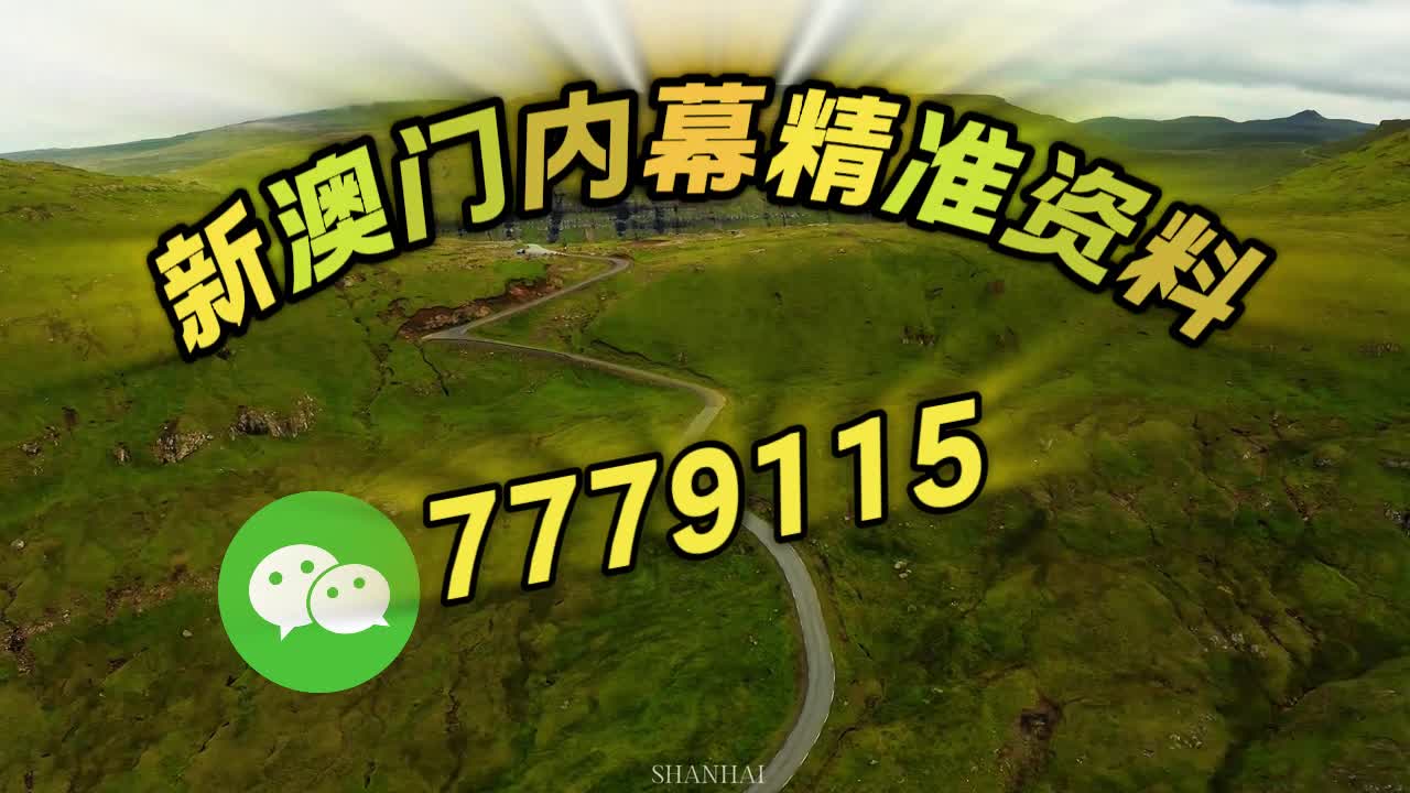 澳门精准一肖一码一澳门,探索背后的神秘与魅力,澳门精准一肖一码,神秘魅力的探索之旅