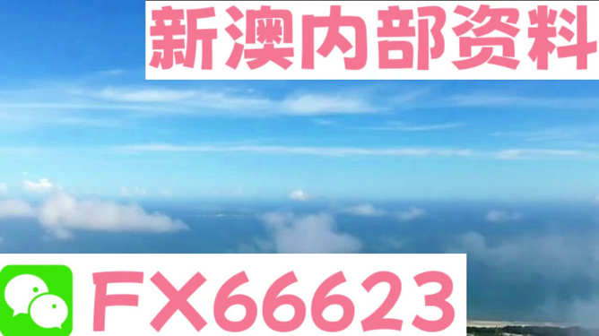 新澳今天最新免费资料概览,新澳今日免费资料概览