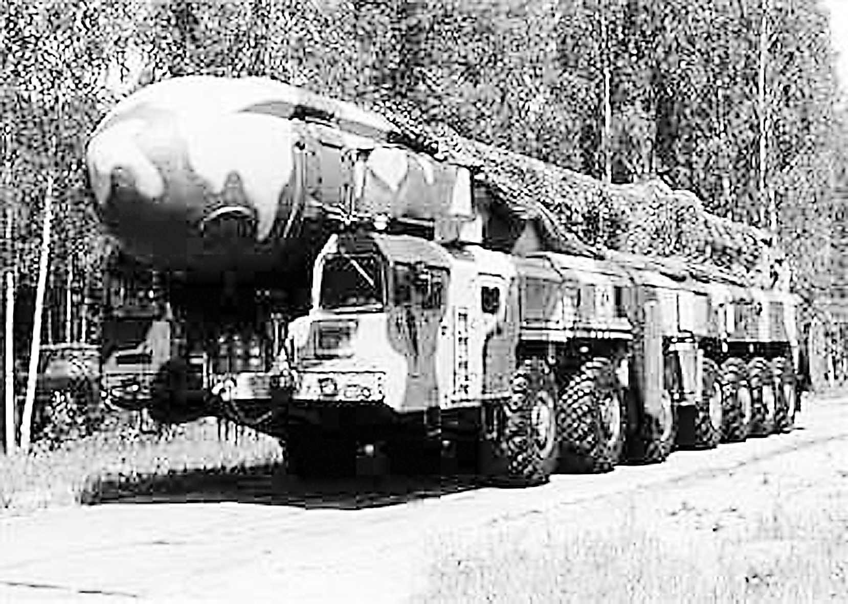 力量与智慧完美结合